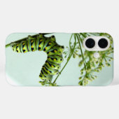 ブラックアゲハチョウ食べキャタピラーのパセリのケース Case-Mate iPhoneケース (裏面 (横))