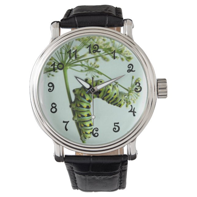 ブラックアゲハチョウ食べキャタピラーPARSLEY WATCH 腕時計 (正面)