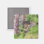 ブラックアゲハチョウ63 ~マグネット マグネット (正面/裏面)