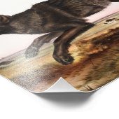 ブラックアメリカン・ウルフ（キャニス・ルパス）イラストレーション フォトプリント            (角)