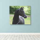 ブラックアラビアンスタリオン キャンバスプリント (インサイチュ (ウッドフロア))