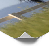 ブラックアラブスタリオンランニングズマネフローリング ポスター (角)