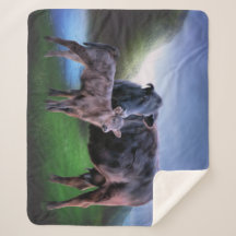 ブラックアンガスカウアンドカーフ