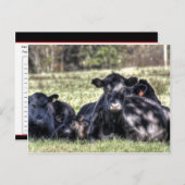 ブラックアンガスフュスレシピカード ポストカード (正面/裏面)