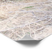 ブラックアンガスブル ポスター (角)