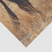 ブラックアンガス牧草地と牧草 薄葉紙 (詳細)