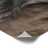 ブラックアンダルシアのヘッドショットマネ流れ ポスター (角)