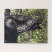 ブラックアンダルシアの馬の立ちヘッドショット ジグソーパズル (横)