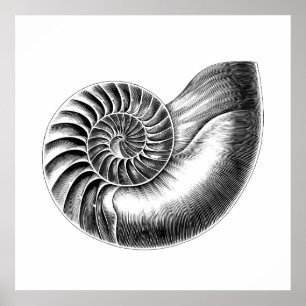 ブラックアンティークノーチラス科学イラストレーション ポスター