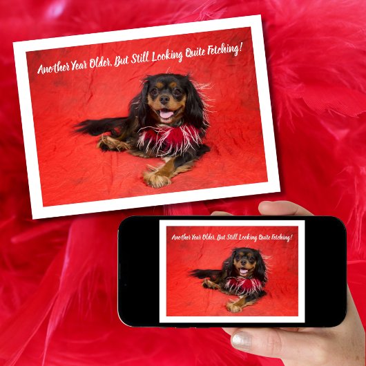 ブラックアンドタンカバリエールキングシャルルボア誕生日 カード