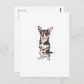 ブラックアンドタンチワワカウトおもしろい犬 ポストカード (正面/裏面)