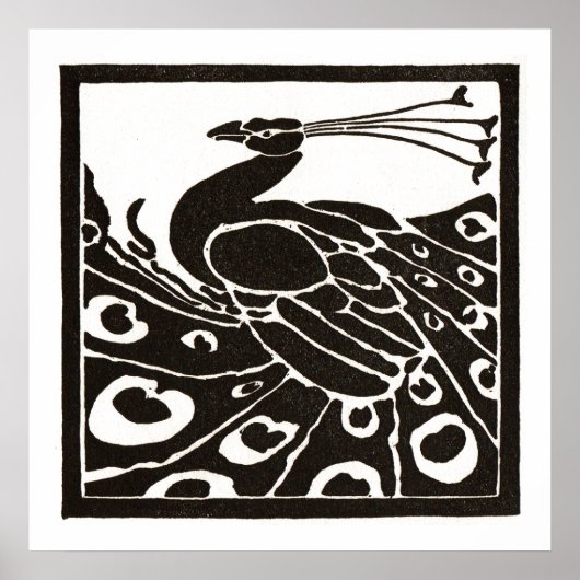 ブラックアンドホワイトの孔雀 ポスター (正面)