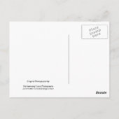 ブラックアンドホワイトの花18 ポストカード (裏面)