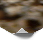 ブラックアーチズモスポスター ポスター (角)