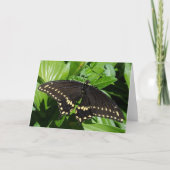ブラックイエロースポッテッドバタフライクローズアップ写真 カード (正面)