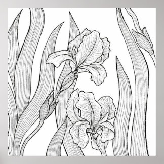 ブラックインクでデザインされた虹彩花 ポスター