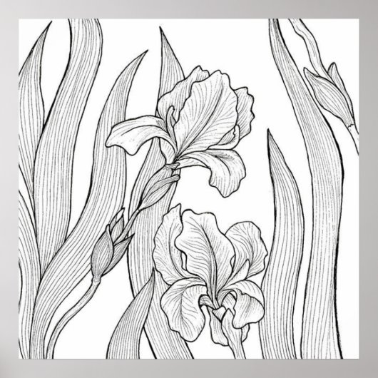 ブラックインクでデザインされた虹彩花 ポスター (正面)
