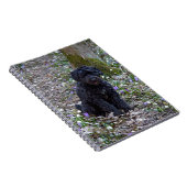 ブラックイングリッシュスプリンガースパニエル ノートブック (右側)