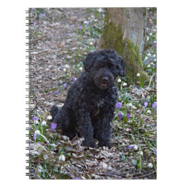 ブラックイングリッシュスプリンガースパニエル ノートブック