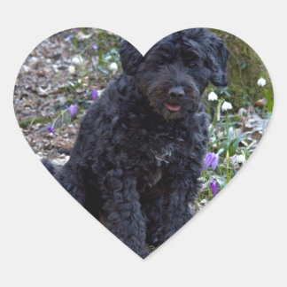 ブラックイングリッシュスリンガースパニエル犬 ハートシール