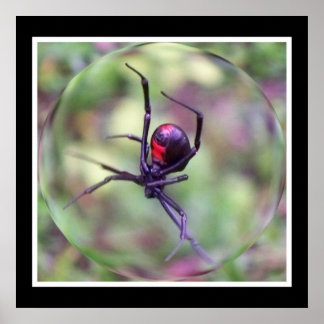 ブラックウィドウプリント ポスター