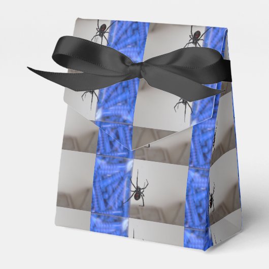 ブラックウィドウ・スパイダーズ フェイバーボックス (正面サイド)