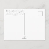 ブラックウィドスパイダー ポストカード (裏面)