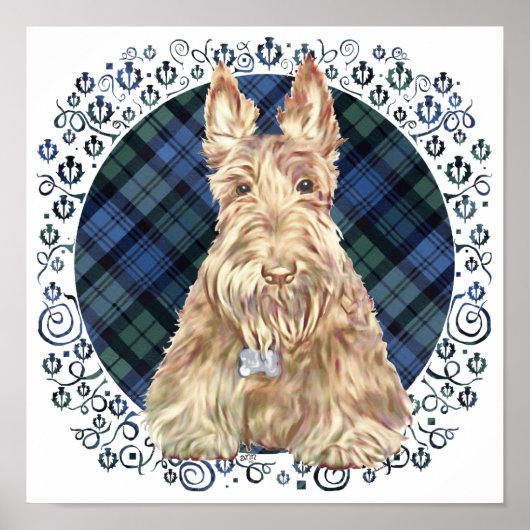 ブラックウォッチ タルタン ポスター (正面)