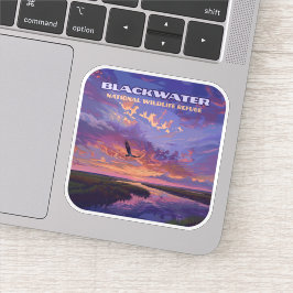 ブラックウォーター国立野生生物保護公園メリーランド シール