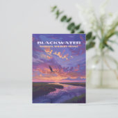 ブラックウォーター国立野生生物保護区メリーランドカード (スタンド正面)