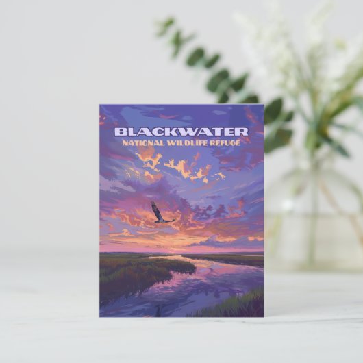 ブラックウォーター国立野生生物保護区メリーランドカード (スタンド正面)