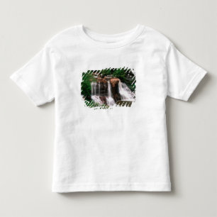 ブラックウォーター滝、ウェストバージニア州、風景 トドラーTシャツ