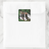 ブラックウォーター滝,ウェストバージニア,風光明媚, スクエアシール (バッグ)