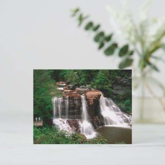 ブラックウォーター滝，ウェストバージニア，風光明媚， ポストカード (スタンド正面)