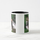 ブラックウォーター滝,ウェストバージニア,風光明媚, マグカップ (中央)