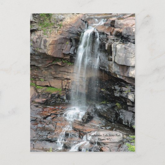 ブラックウォーター秋デイビスWVポストカード ポストカード (正面)