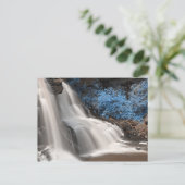 ブラックウォーター秋州パークウェストバージニアUSA ポストカード (スタンド正面)