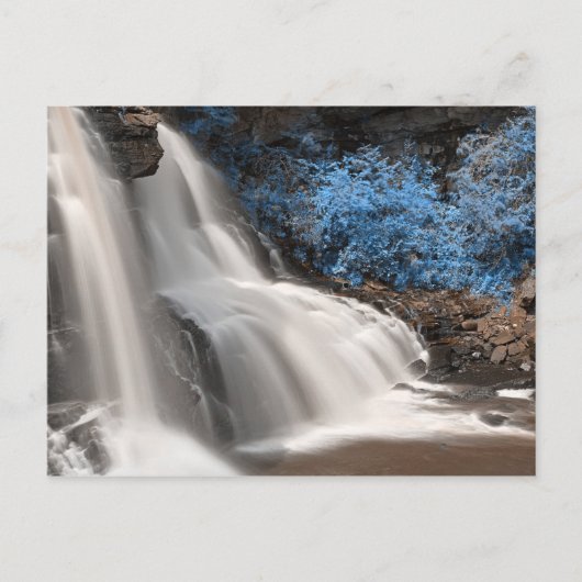 ブラックウォーター秋州パークウェストバージニアUSA ポストカード (正面)