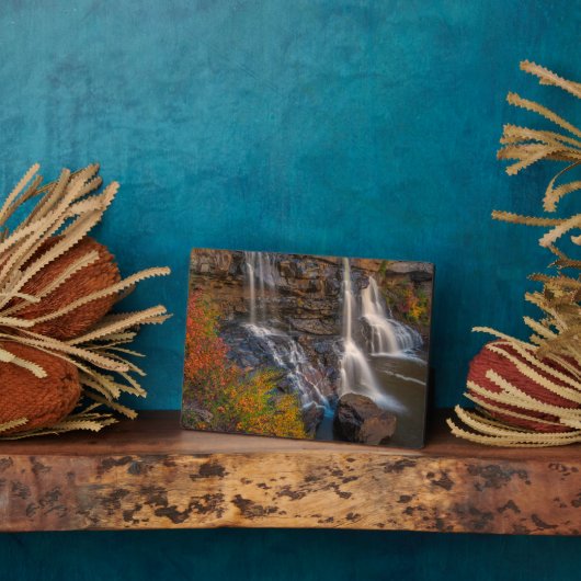 ブラックウォーター秋州パーク |ウェストバージニア フォトプラーク (側面)