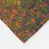 ブラックウォーター秋州パーク |ウェストバージニア フリースブランケット (角)