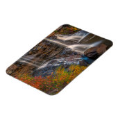 ブラックウォーター秋州パーク |ウェストバージニア マグネット (左側)