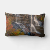 ブラックウォーター秋州パーク |ウェストバージニア ランバークッション (裏面)