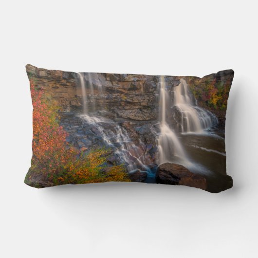 ブラックウォーター秋州パーク |ウェストバージニア ランバークッション (裏面)