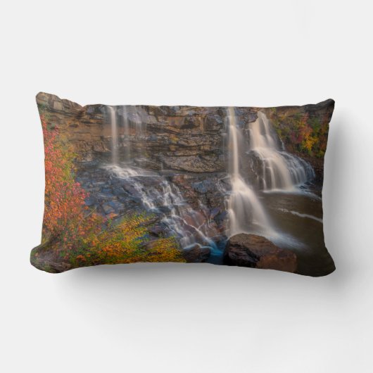 ブラックウォーター秋州パーク |ウェストバージニア ランバークッション (正面)