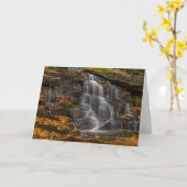 ブラックウォーター秋州パーク カード (黄色い花)