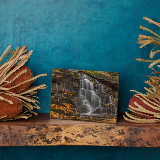 ブラックウォーター秋州パーク フォトプラーク (側面)