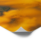 ブラックウルフドイツ羊飼い犬 ポスター (角)