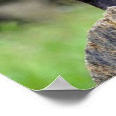 ブラックウルフポスター ポスター (角)