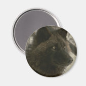 ブラックウルフ犬 マグネット (正面/裏面)