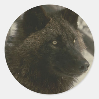 ブラックウルフ犬 ラウンドシール